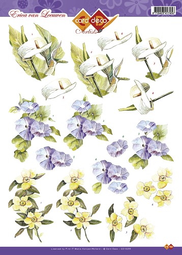 bloemen erica